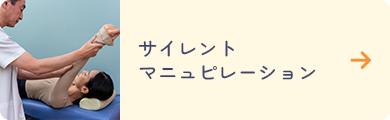 サイレントマニュピレーション